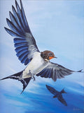 Wing Commander (Swallow) ORIGINAL by Angus Gardner *NEW*