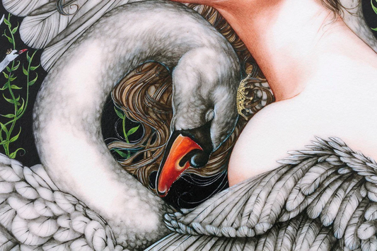Kerry Darlington The Wild Swans - The Acorn Gallery, Pocklington