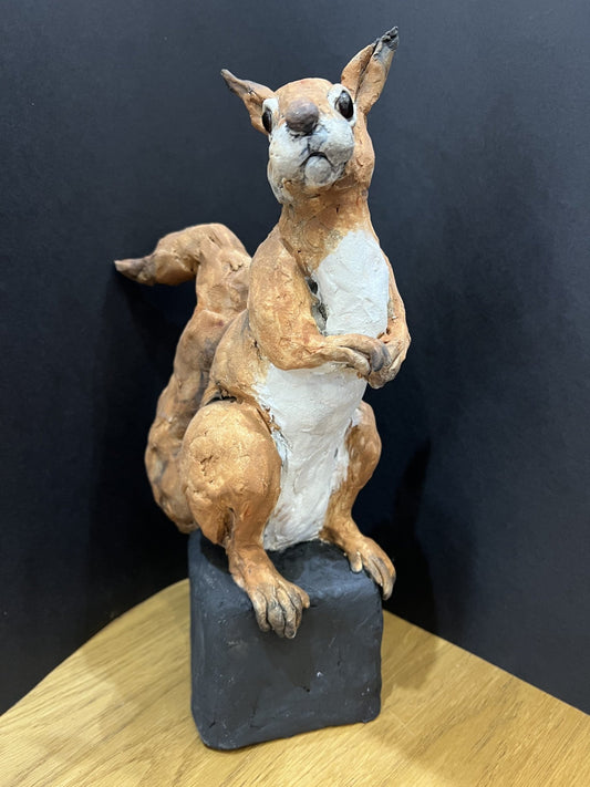 Louise Brown Red Squirrel Original Sculpture - The Acorn Gallery, Pocklington