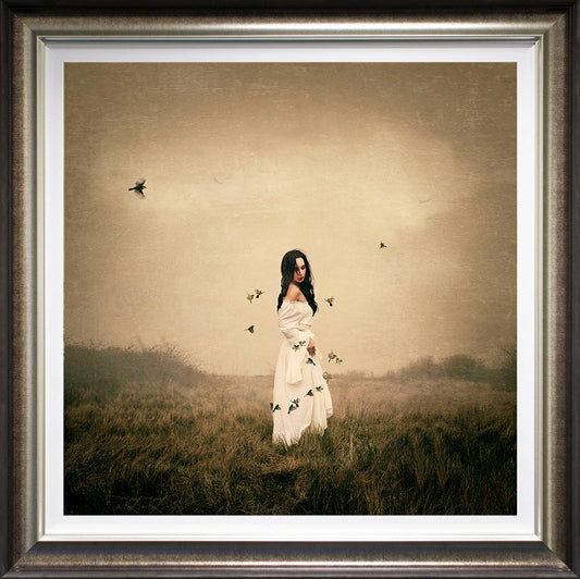 Song Bird artwork by Michelle Mackie limited edition signed print with certificate