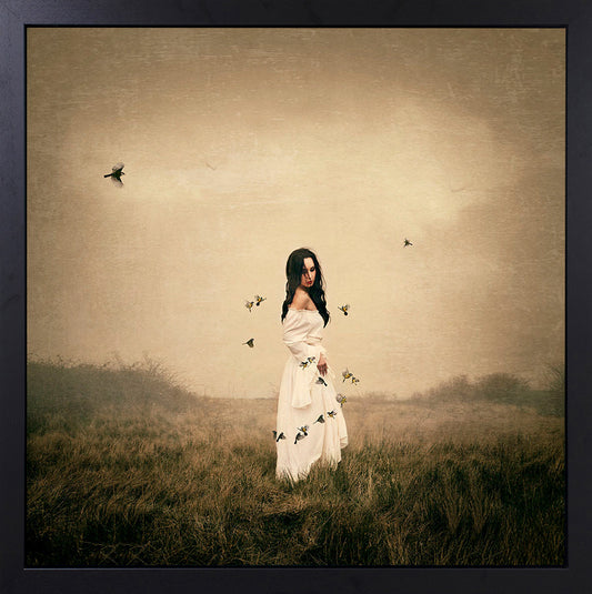 Michelle Mackie Song Bird Original Framed from The Acorn Gallery, Pocklington