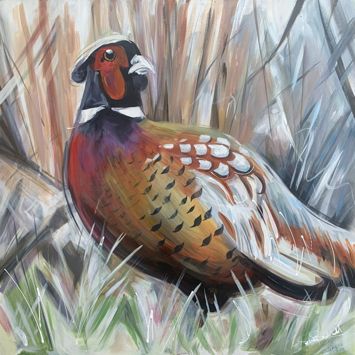 Original acrylic pheasant painting by Susan Ballard, with vivid rust, gold and white feathers and dark patterned details.