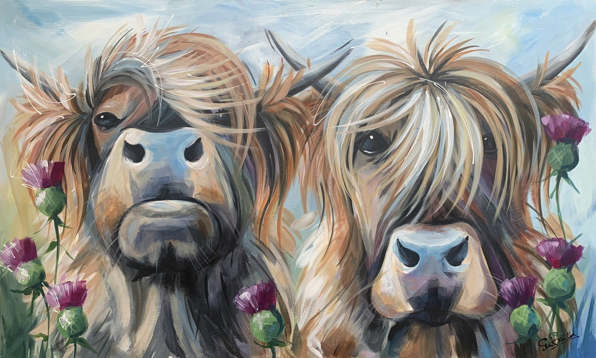 Original acrylic painting by Susan Ballard of two shaggy Highland cows with long fringes and pink-purple thistles.