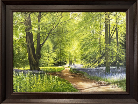 Thorpe Perrow Bluebells ORIGINAL by Suzanne Cartwright