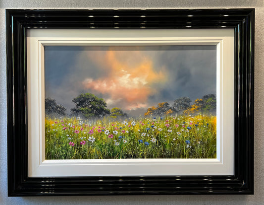 Allan Morgan Wildflower Meadow Original The Acorn Gallery Pocklington