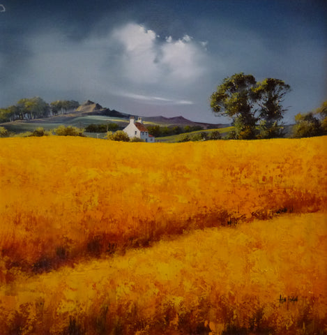 Fields Of Gold VI Original by Allan Morgan *SOLD*-Original Art-Allan-Morgan-landscape-artist-The Acorn Gallery
