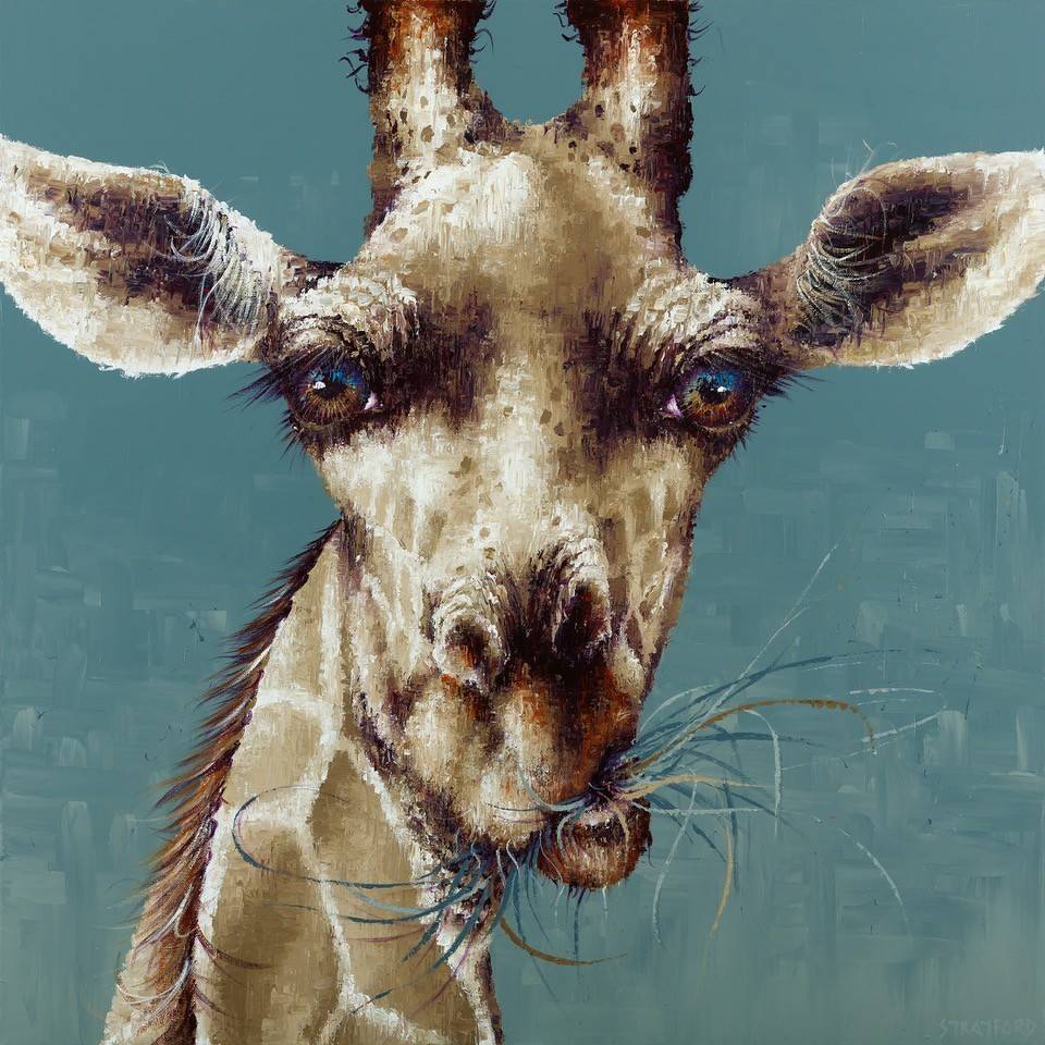 A Different Horizon by Amanda Stratford-Limited Edition Print-The Acorn Gallery