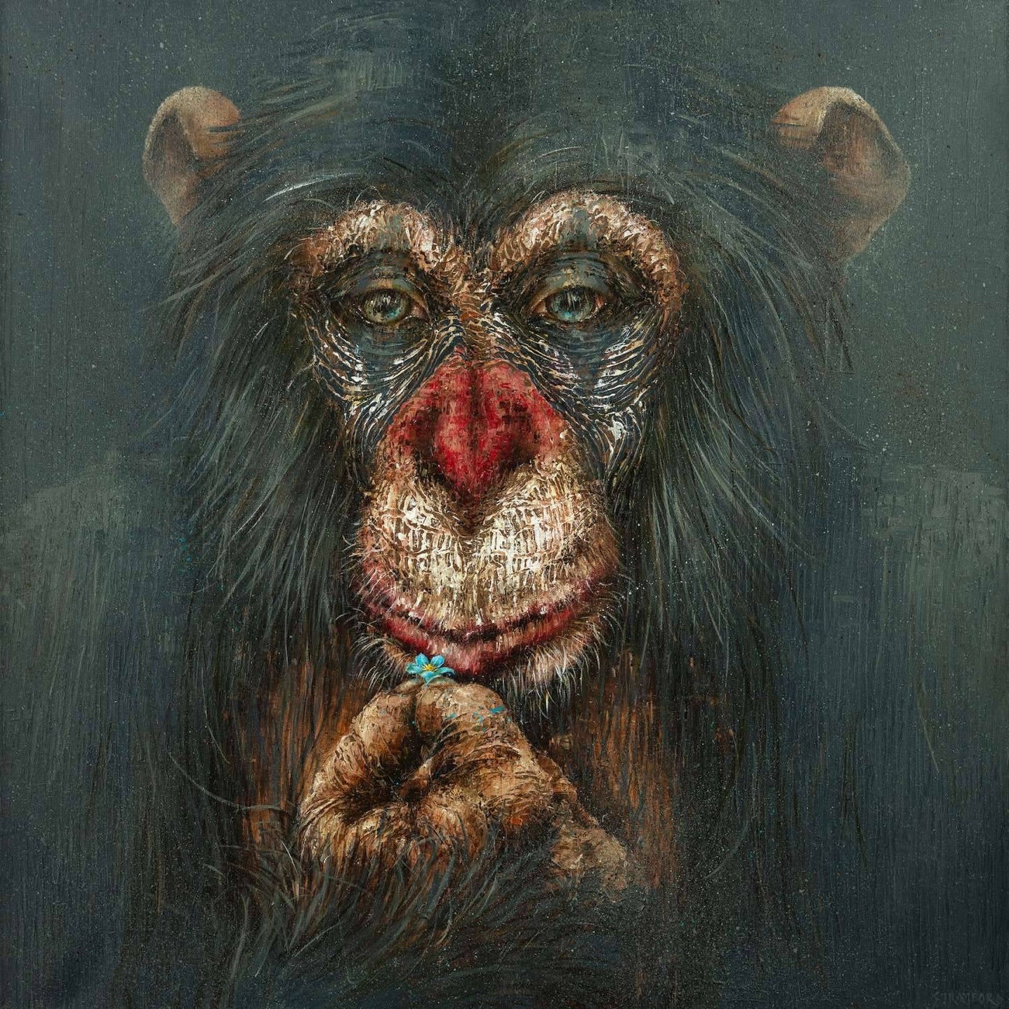 Forget Me Not by Amanda Stratford-Limited Edition Print-The Acorn Gallery