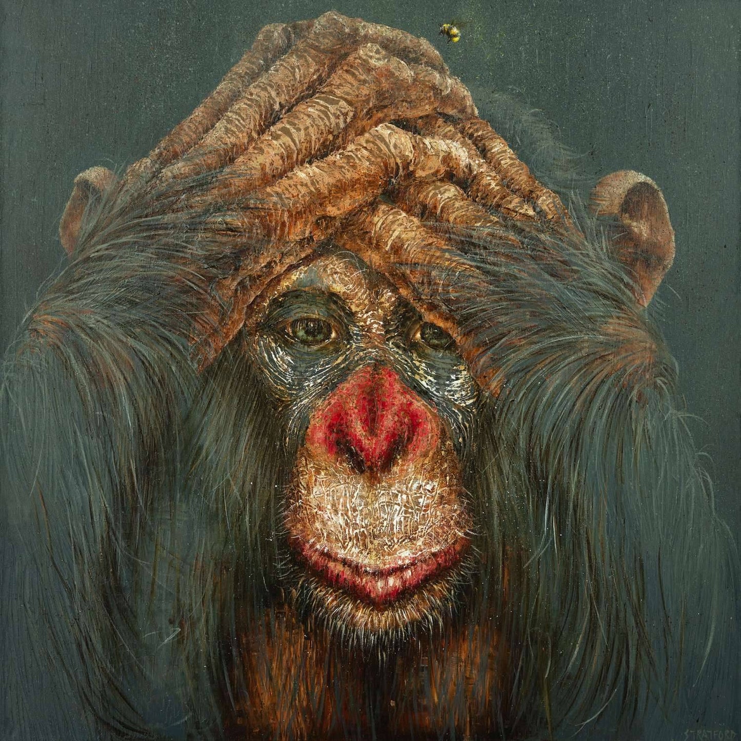 Amanda Stratford The Sting - The Acorn Gallery, Pocklington