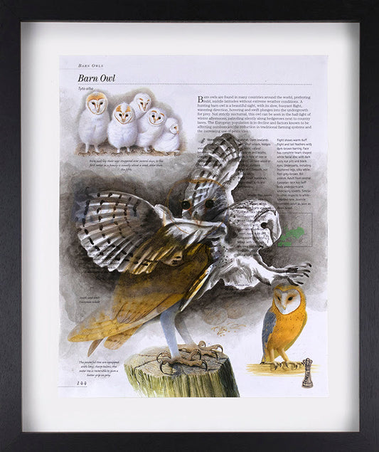 Chess Flight Barn Owl Original - The Acorn Gallery, Pocklington