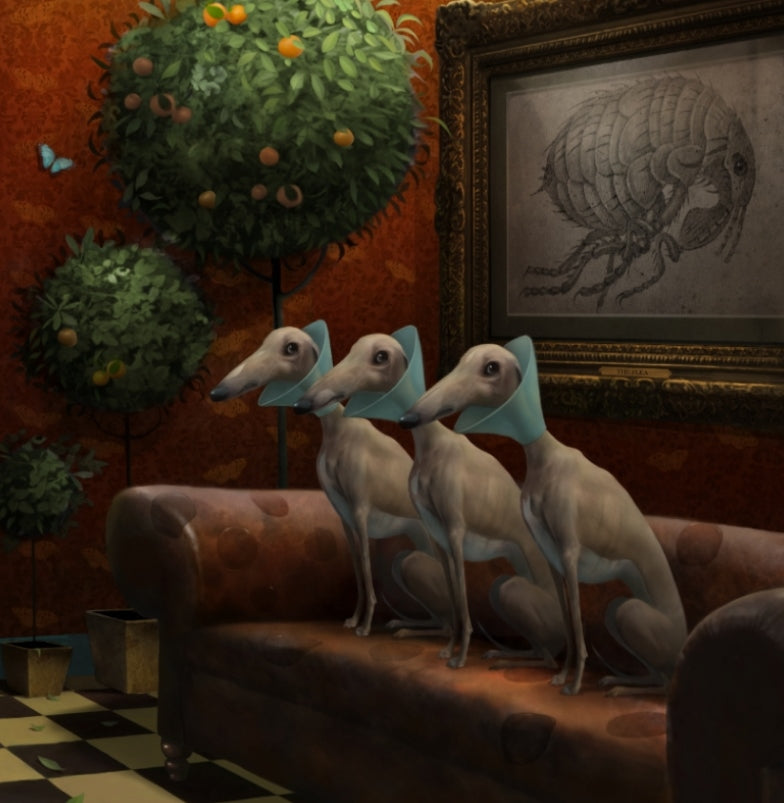 Stephen Hanson The Waiting Room - The Acorn Gallery, Pocklington