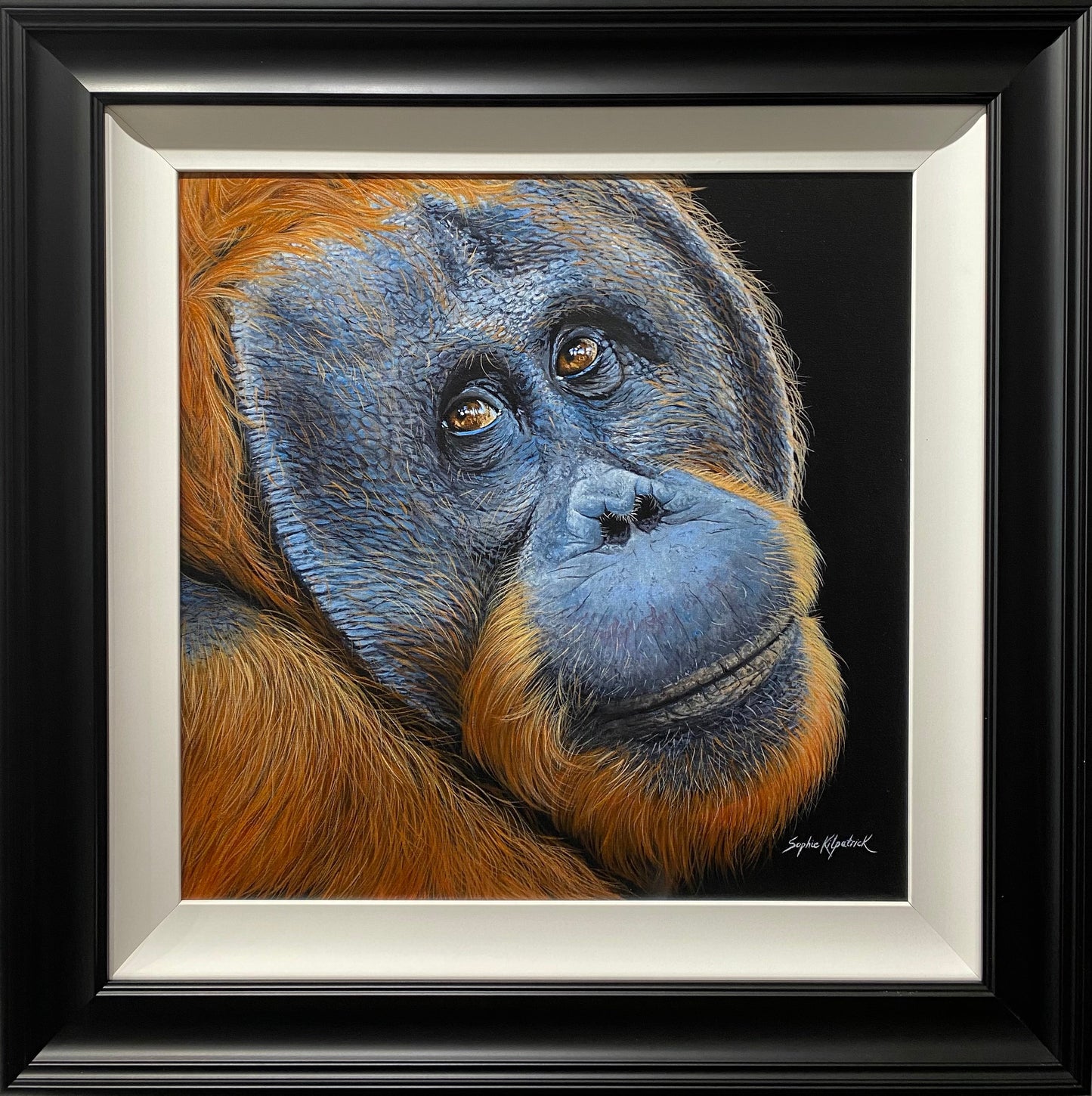 Sonny Orangutan Original by Sophie Kilpatrick mixed media portrait of orangutan in black frame