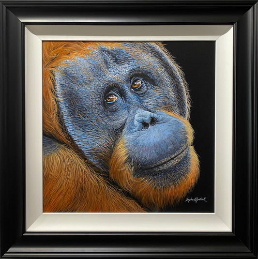 Sonny Orangutan Original by Sophie Kilpatrick mixed media portrait of orangutan in black frame