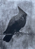 The Keeper Of Shadows Original by Shaun Tymon *NEW*-Original Art-The Acorn Gallery