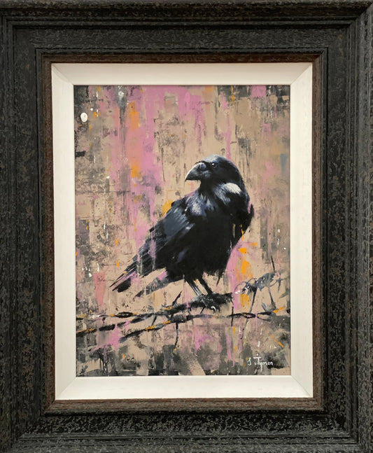 Original oil painting "Tyrone" by Shaun Tymon featuring a raven on a textured background, framed and hand signed.