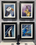 Kingfisher Original by Katie Day-Original Art-The Acorn Gallery