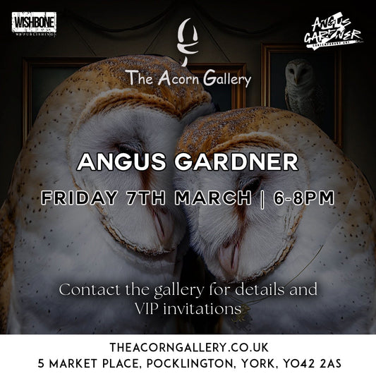 Join Yorkshire artist Angus Gardner at The Acorn Gallery in Pocklington on Friday evenonmg 7th March 2025 from 6pm until 8pm 01759 307652.