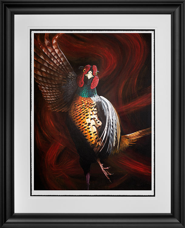 Angus Gardner Joaquin the flamenco pheasant framed print at The Acorn Gallery, Pocklington