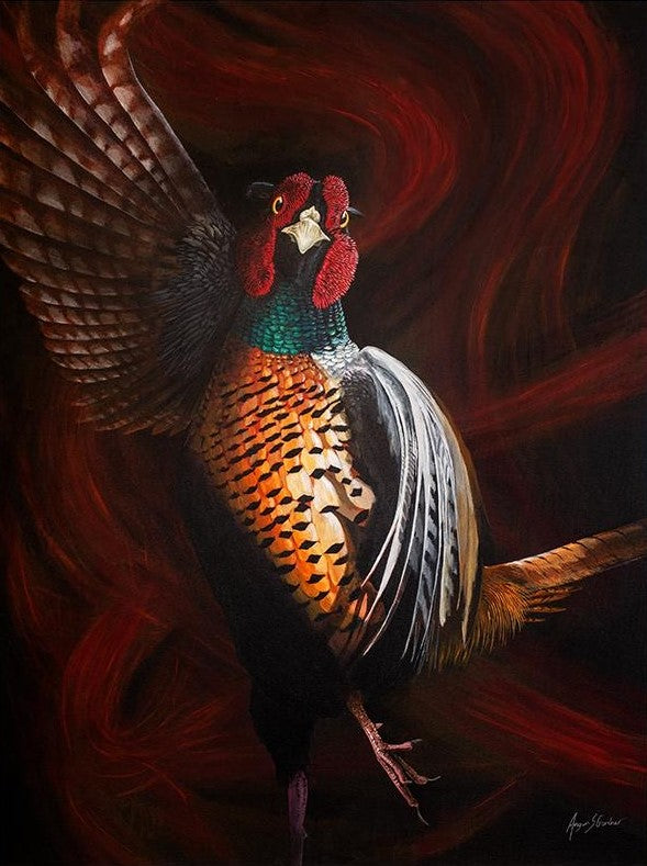 Angus Gardner Joaquin the flamenco pheasant framed print is available at  The Acorn Gallery, Pocklington