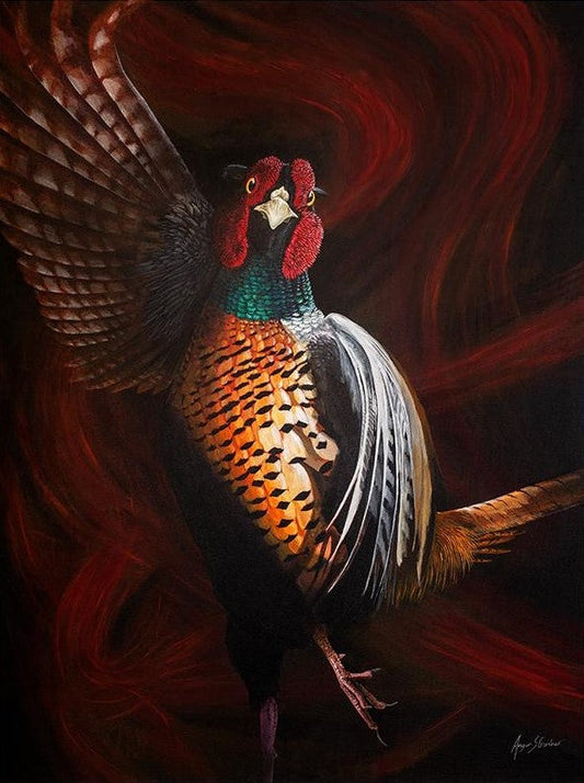 Angus Gardner Joaquin the flamenco pheasant framed print is available at  The Acorn Gallery, Pocklington