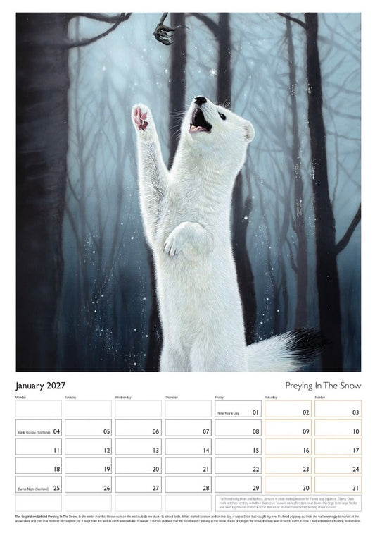 A January 2027 wall calendar page by Angus Gardner featuring a snowy forest scene with a white ermine stoat standing on its hind legs and reaching upward. The top portion shows the animal in a misty blue-gray woodland, while the bottom portion contains the calendar grid and text including 'January 2027' and 'Praying In The Snow'.