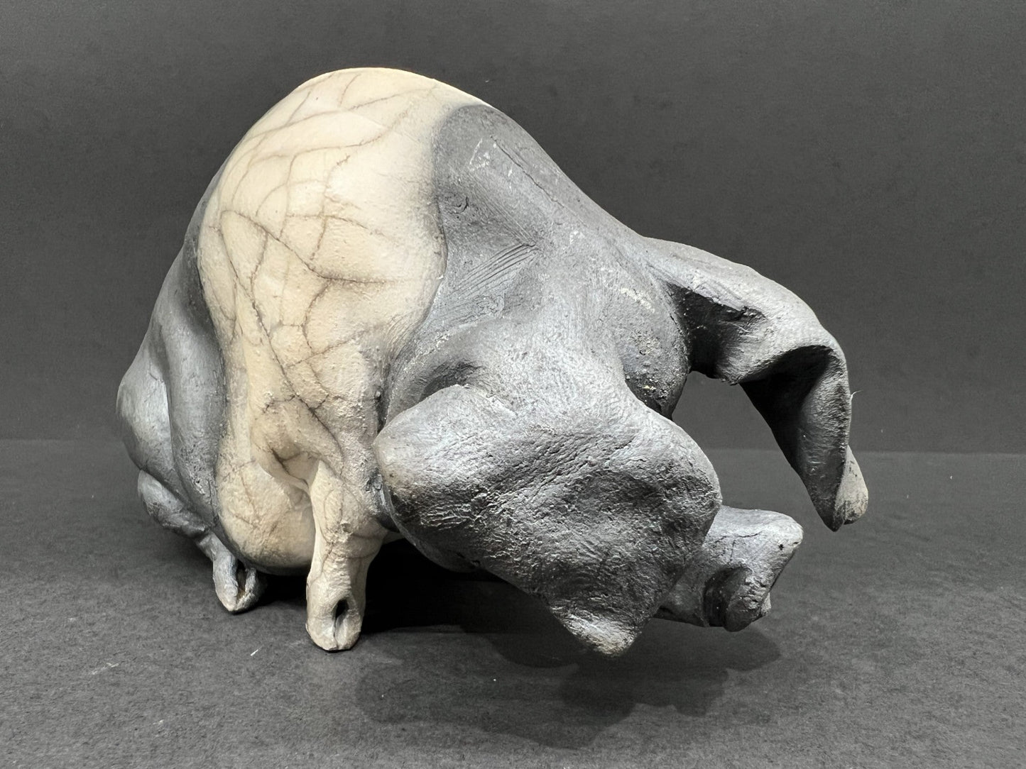 Christine Cummings Studio Candy Seated Saddleback ORIGINAL - The Acorn Gallery, Pocklington