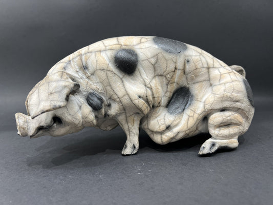 Christine Cummings Studio raku pig Geraldine Seated Gloucester Old Spot ORIGINAL - The Acorn Gallery, Pocklington