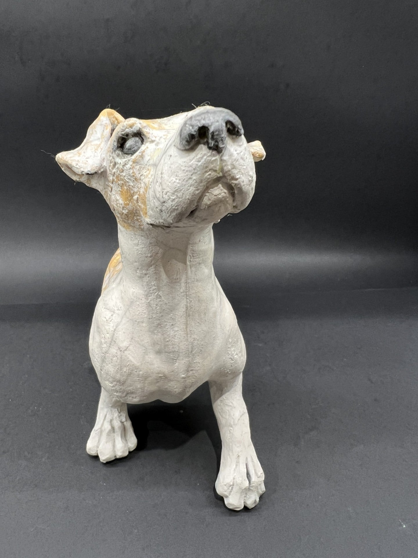 Christine Cummings Studio Jack The Jack Russell ORIGINAL - The Acorn Gallery, Pocklington