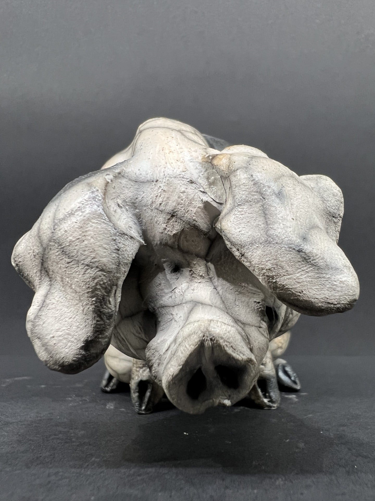 Christine Cummings PIg - JoJo, available at The Acorn Gallery, Pocklington, delivery available. Shop online or call 01759 307652.