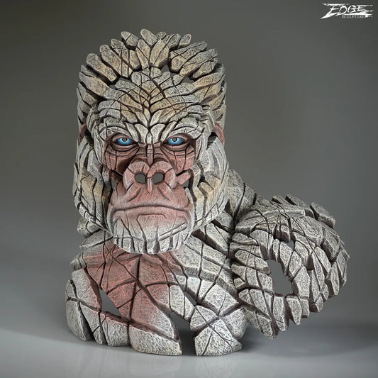 Front view of the Mountain Gorilla Bust in White by EDGE Sculpture code EDB36W. Available at The Acorn Gallery in Pocklington. Shop in store or order online. Delivery is available. Official stockist.