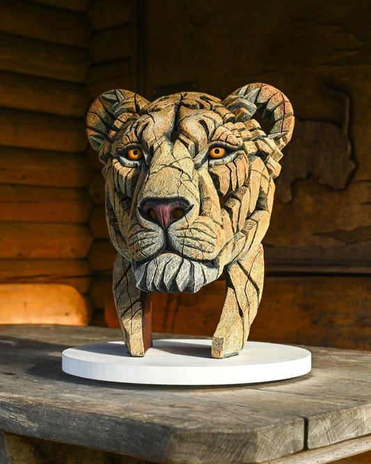 EDGE Sculpture Yuna the Lioness EDB35 - The Acorn Gallery, Pocklington 