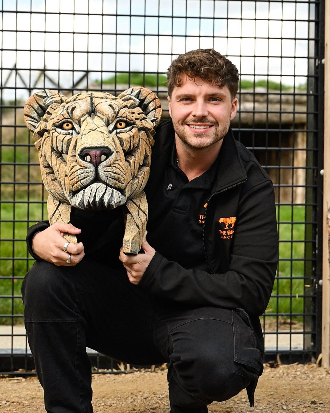 EDGE Sculpture Yuna the Lioness EDB35 - The Acorn Gallery, Pocklington 