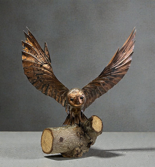 Graham Anderton Barn Owl Taking Off Original Sculpture - The Acorn Gallery, Pocklington