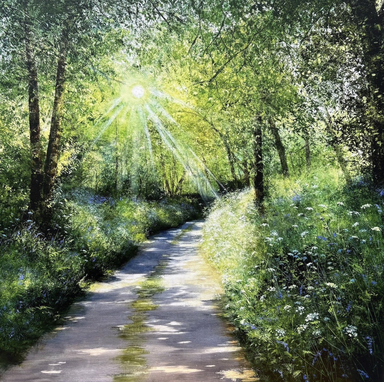 Heather Howe Bluebells And Sunlight - The Acorn Gallery, Pocklington