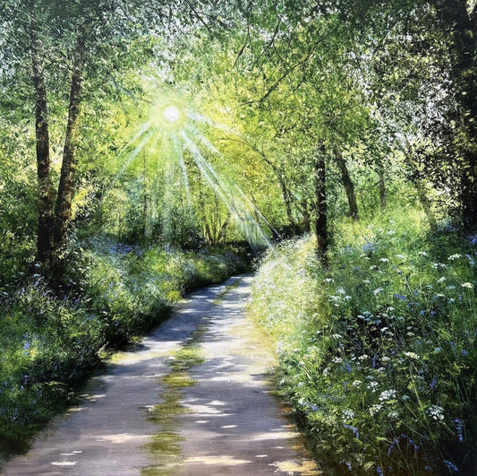 Heather Howe Bluebells And Sunlight - The Acorn Gallery, Pocklington