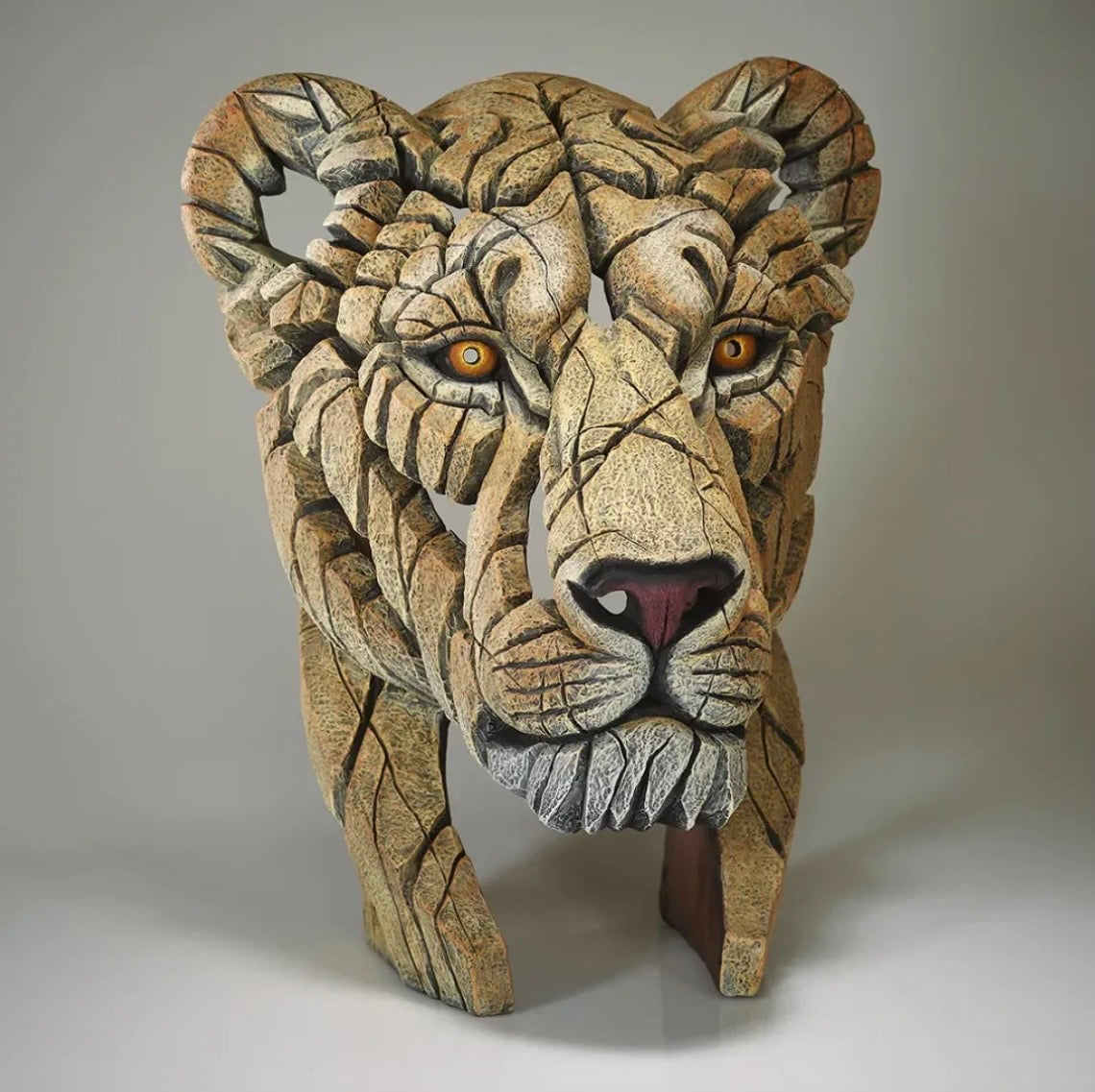 EDGE Sculpture Yuna the Lioness EDB35 - The Acorn Gallery, Pocklington 