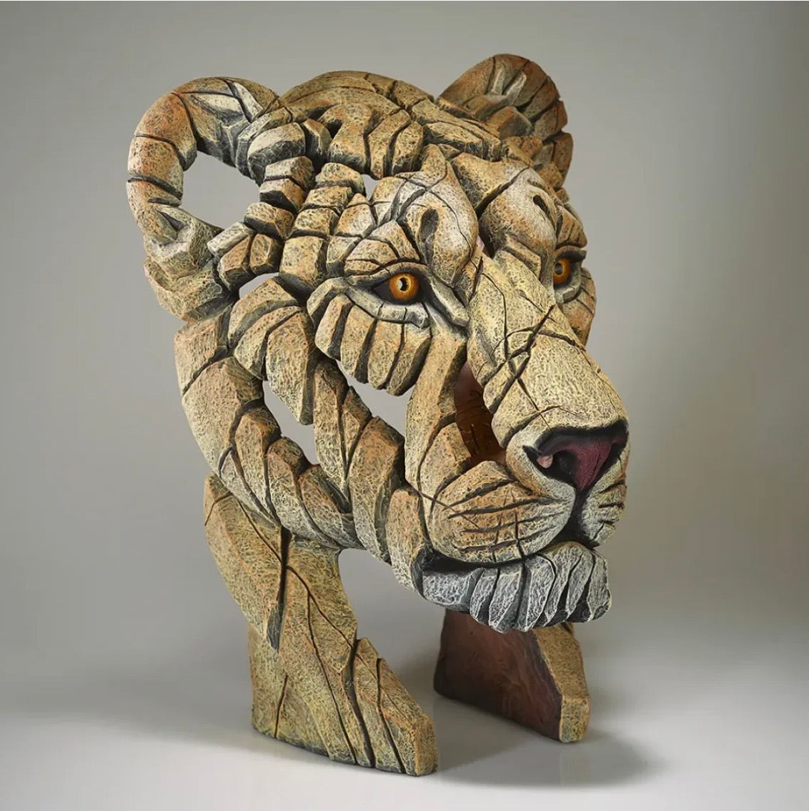 EDGE Sculpture Yuna the Lioness EDB35 - The Acorn Gallery, Pocklington 