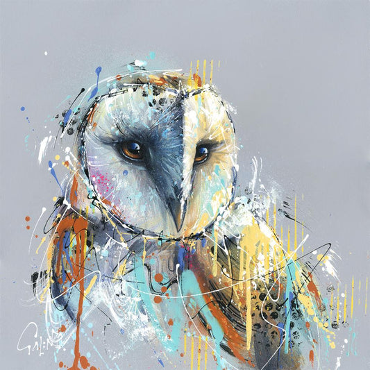 Joe Galindo Oliver The Barn Owl Hand Embellished Board -  The Acorn Gallery, Pocklington