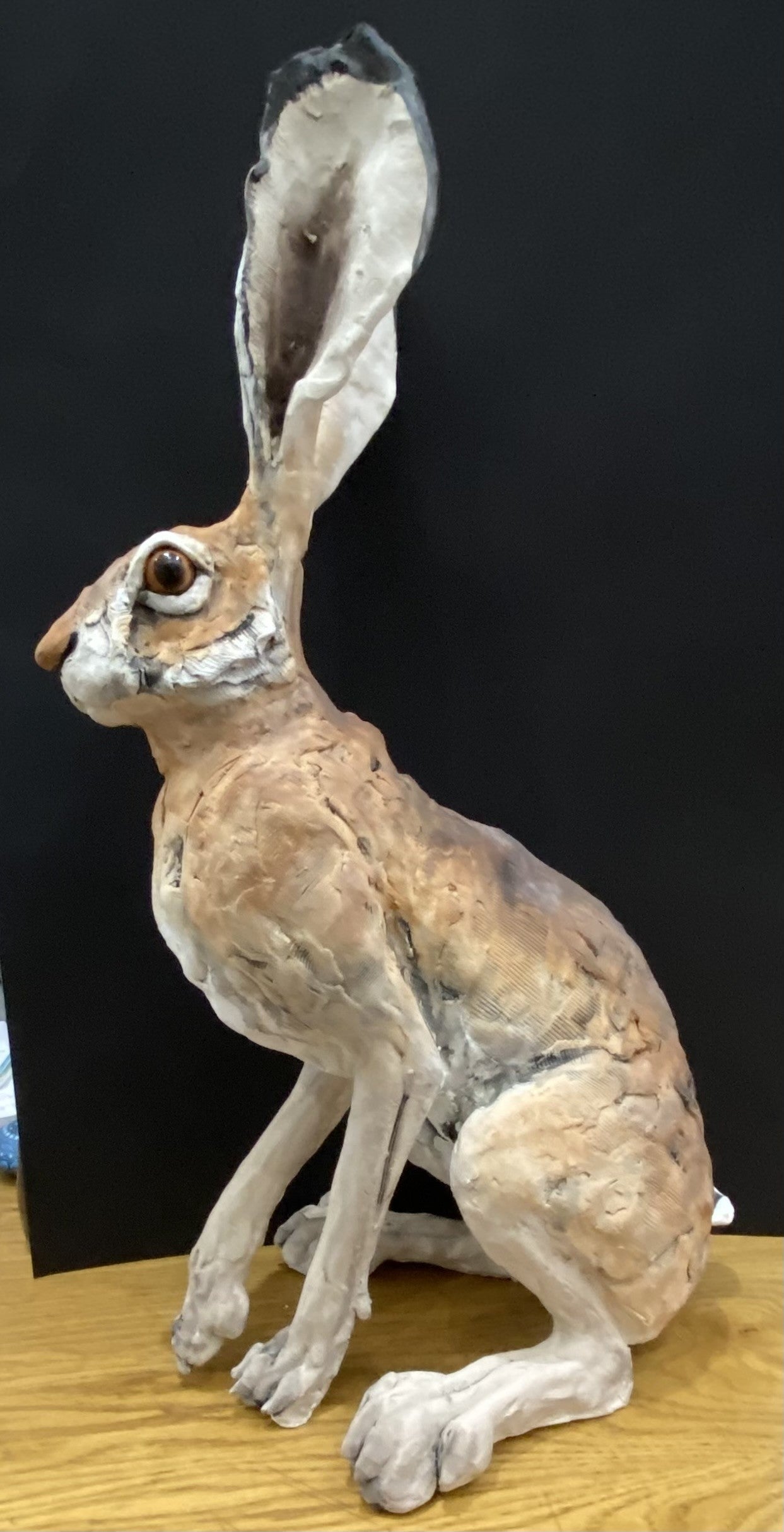 Louise Brown Large Sitting Hare VI Original Sculpture - The Acorn Gallery, Pocklington
