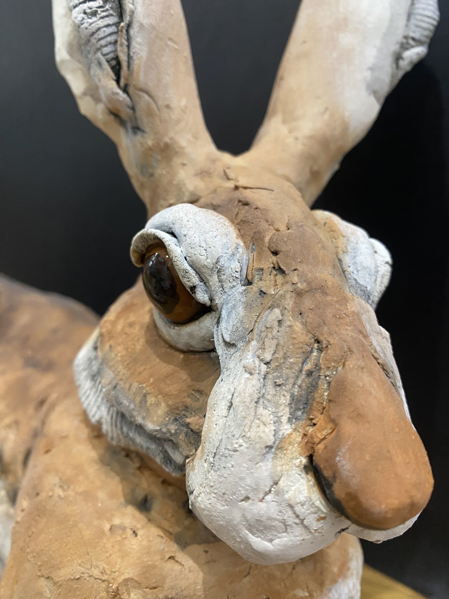 Louise Brown Lying Down Hare VIII Original Sculpture - The Acorn Gallery, Pocklington