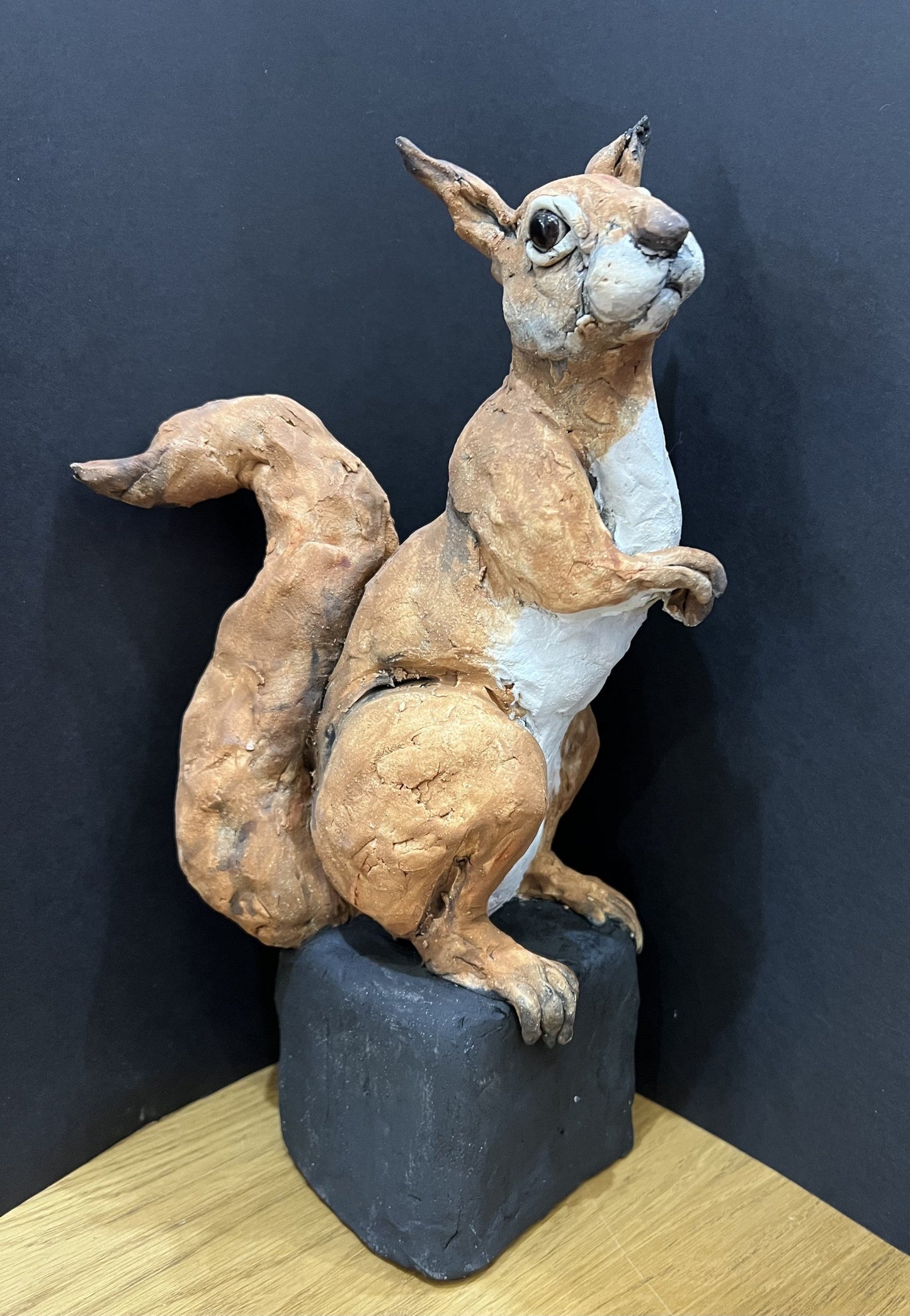 Louise Brown Red Squirrel Original Sculpture - The Acorn Gallery, Pocklington