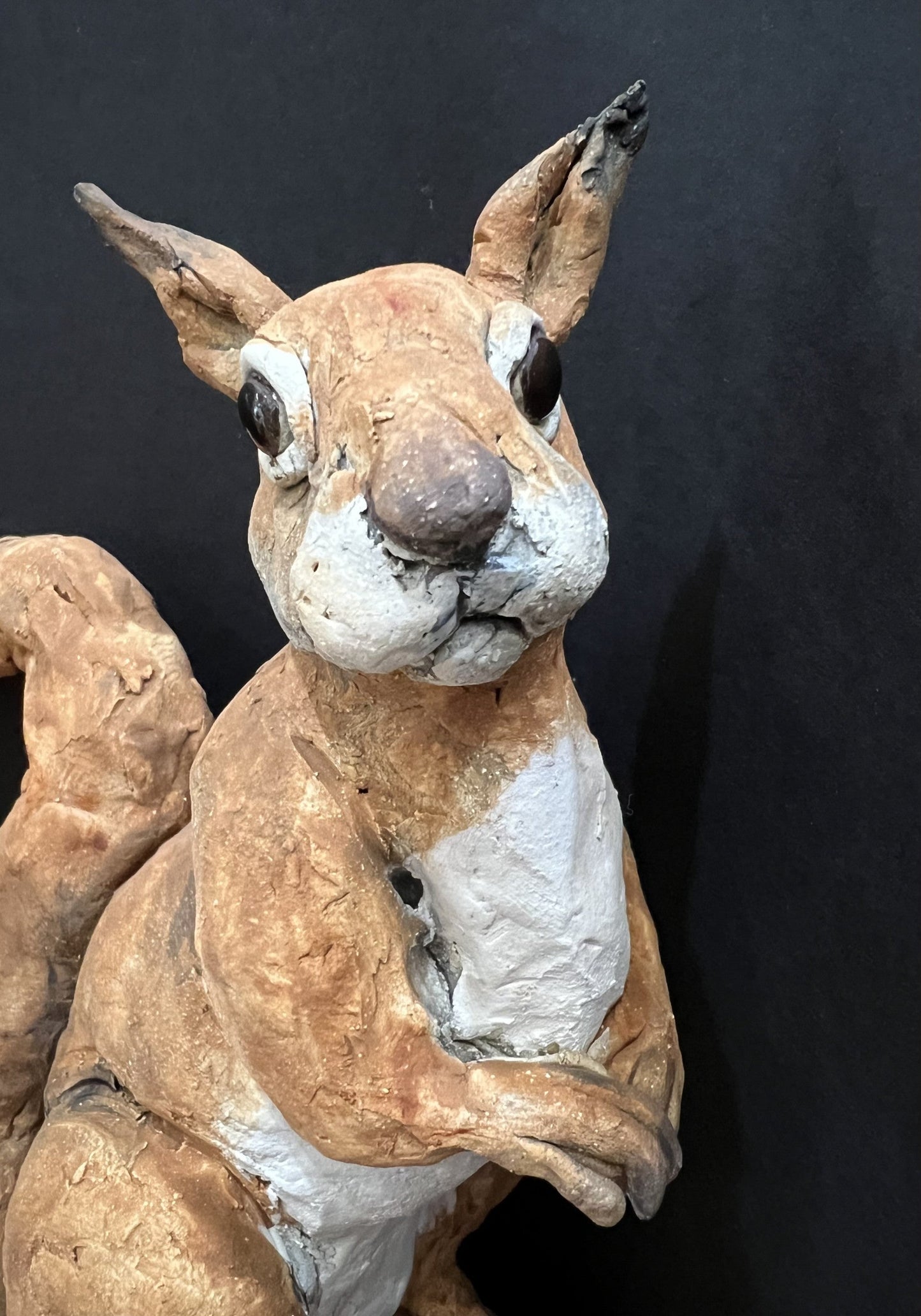 Louise Brown Red Squirrel Original Sculpture - The Acorn Gallery, Pocklington