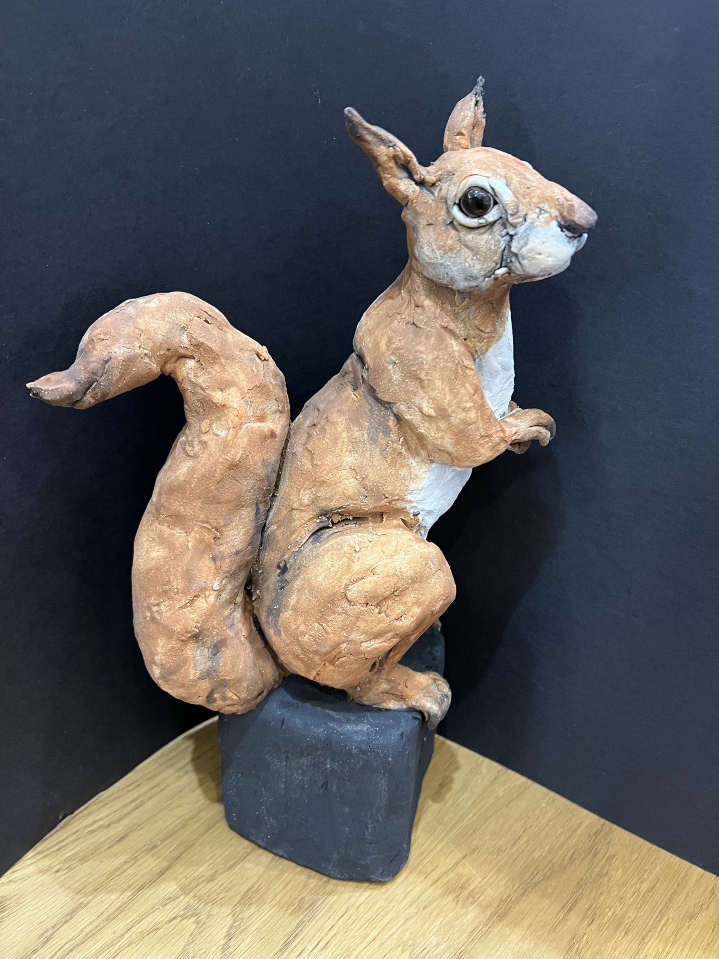 Louise Brown Red Squirrel Original Sculpture - The Acorn Gallery, Pocklington