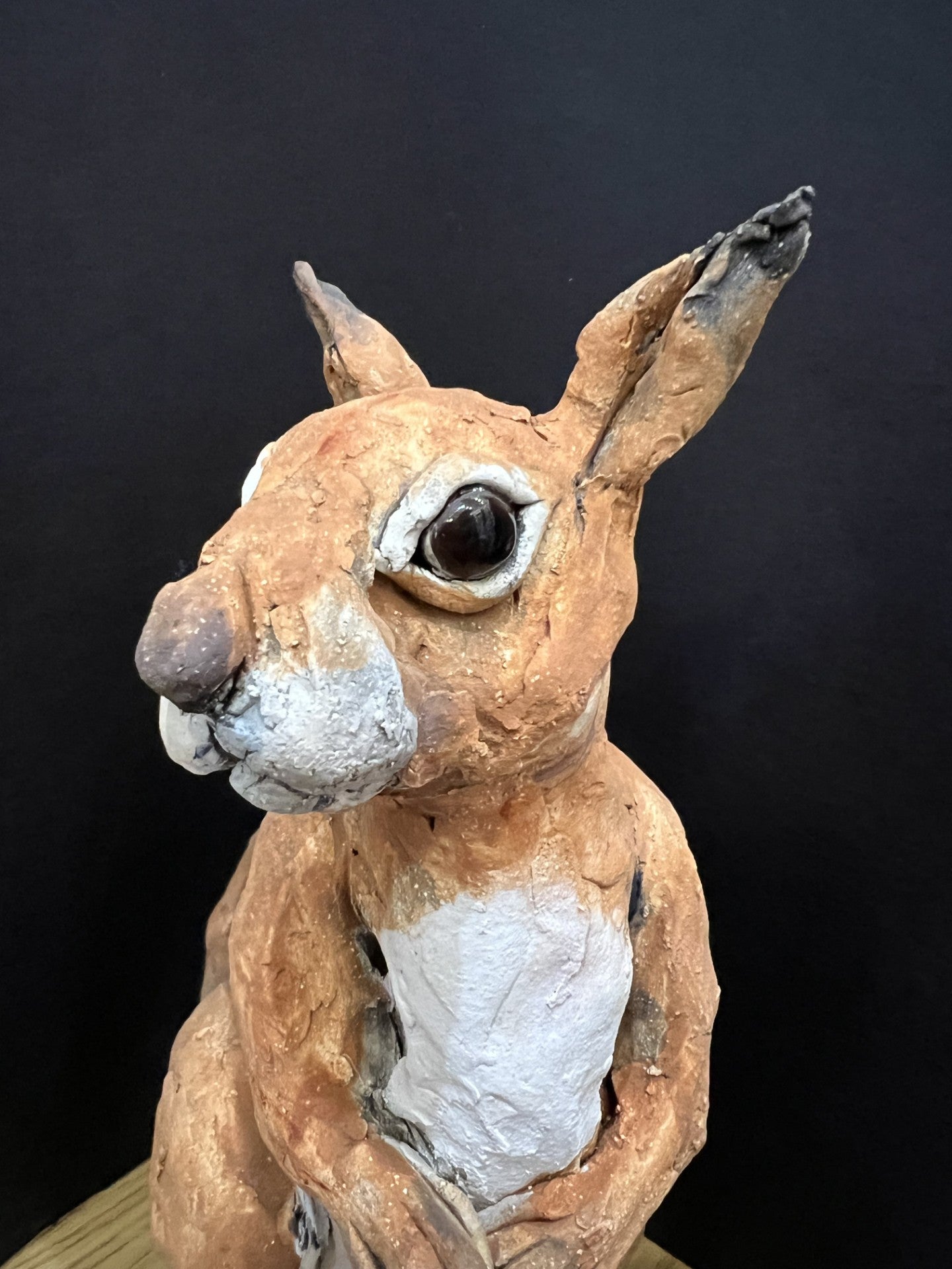 Louise Brown Red Squirrel Original Sculpture - The Acorn Gallery, Pocklington