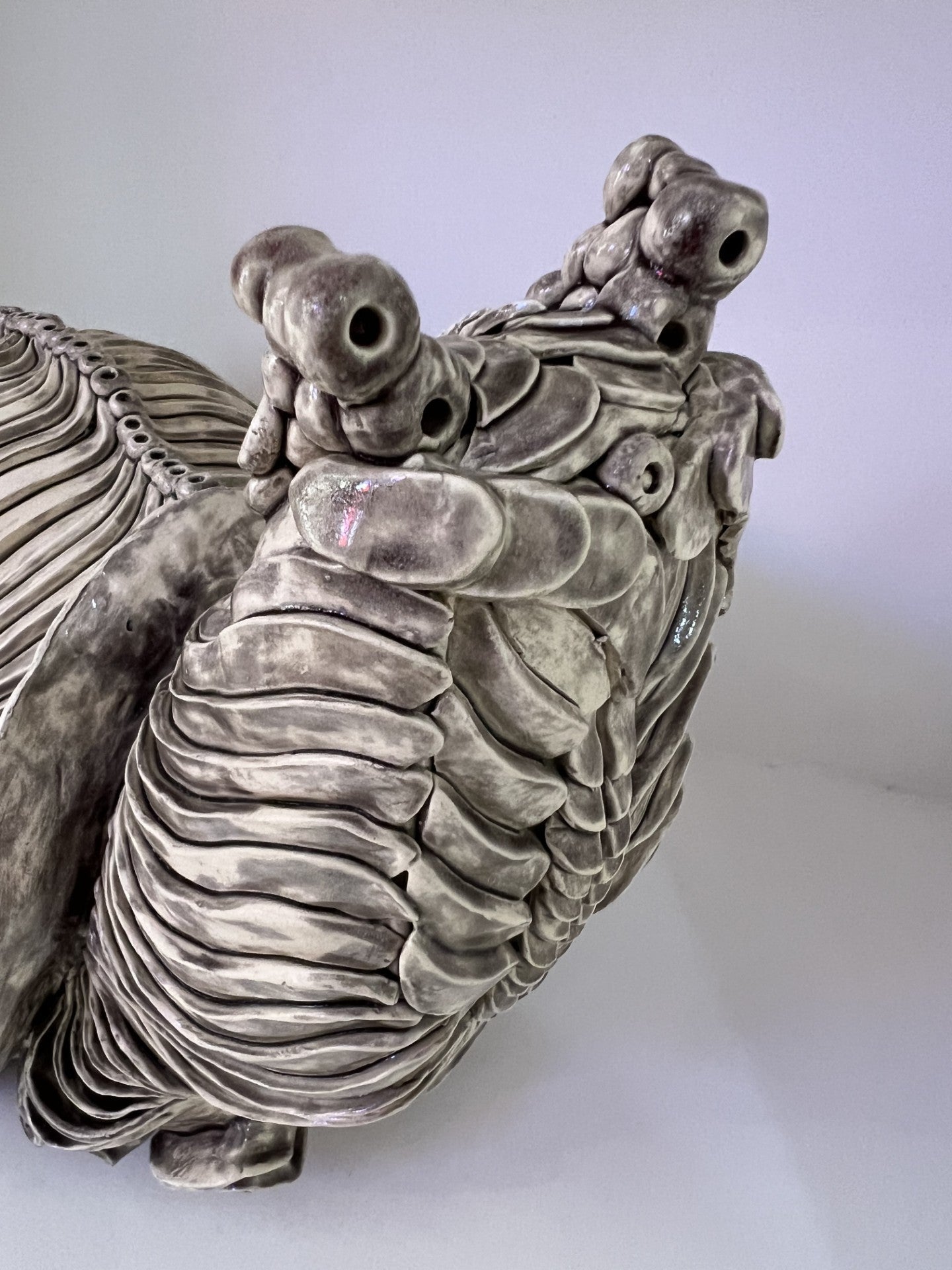 Lorraine Kathryn Studios  Brian The Snail ORIGINAL Sculpture - The Acorn Gallery, Pocklington