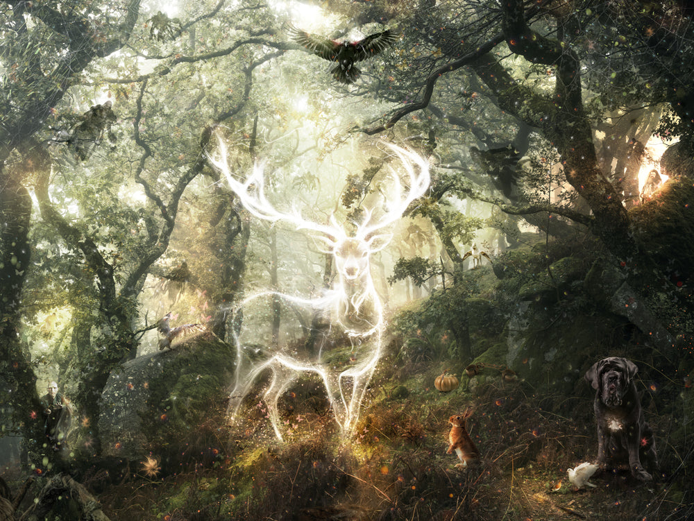 Mark Davies Harry Potter - Expecto Patronum - The Acorn Gallery, Pocklington