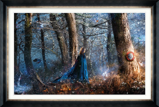 Mark Davies Lithium  - The Acorn Gallery, Pocklington