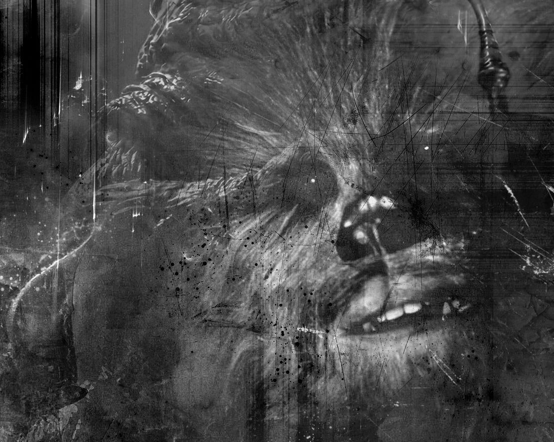 Limited edition Star Wars art print by Mark Davies, monochrome textured portrait of Han Solo in carbonite with layered characters.