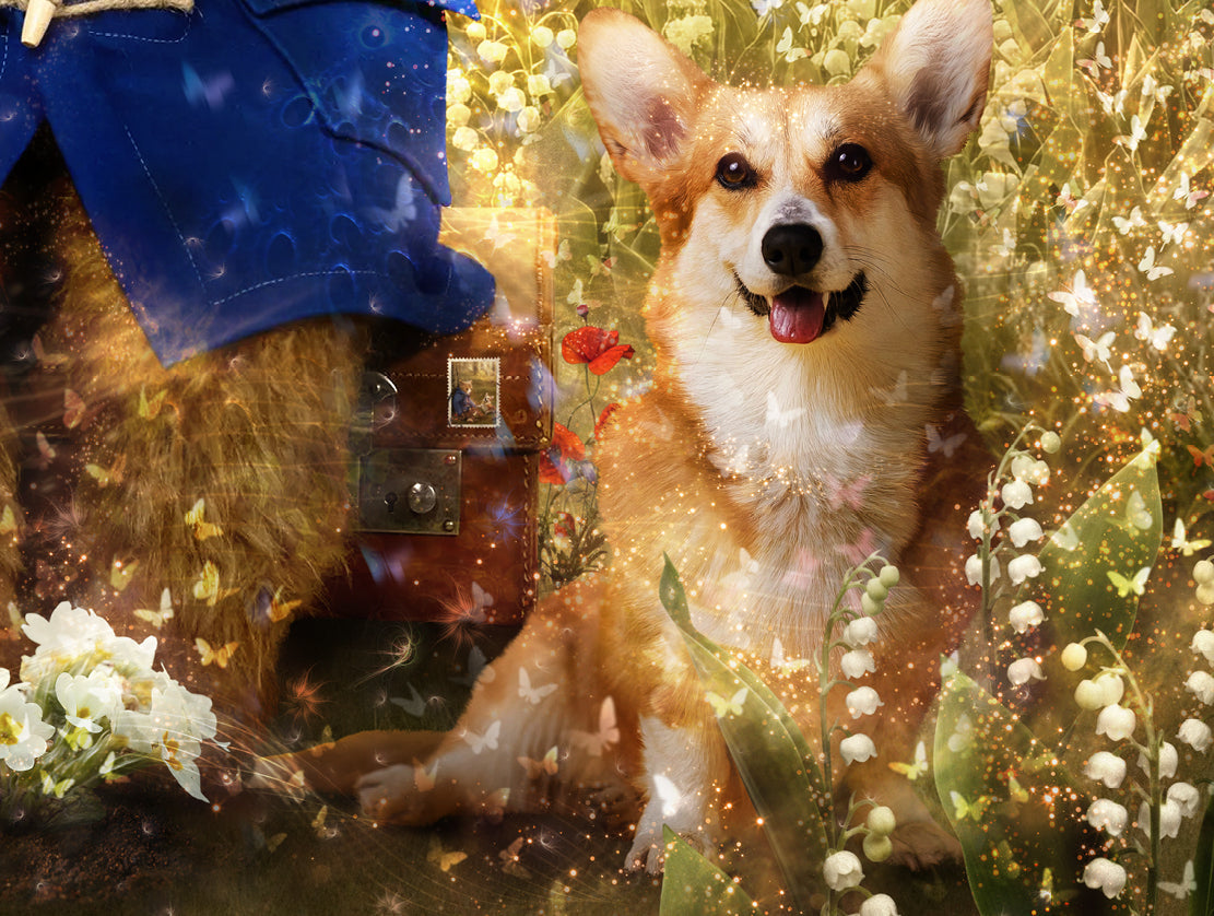 Limited edition print by Mark Davies, colourful Paddington bear in a blue coat among flowers with two corgis and a dove.