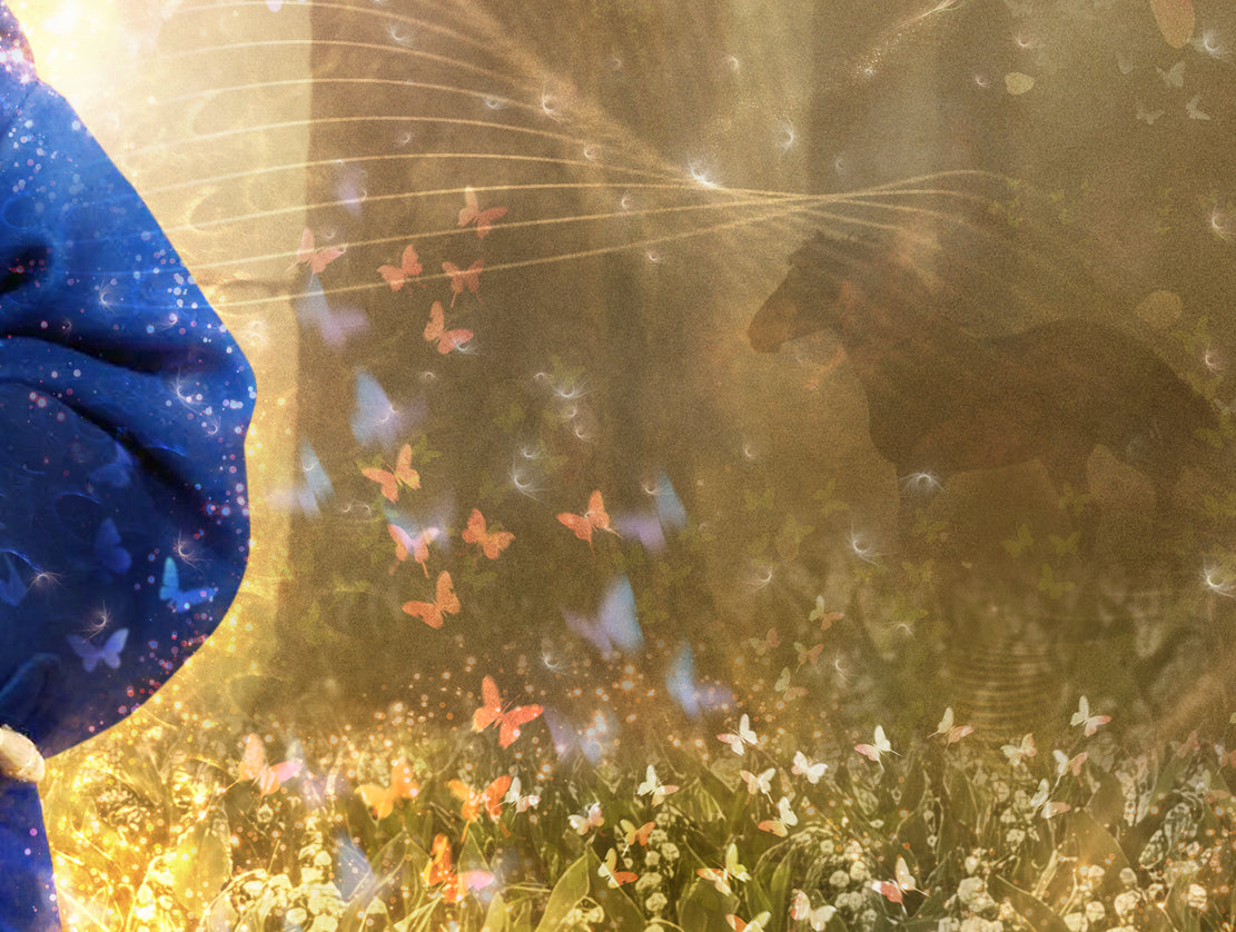 Limited edition print by Mark Davies, colourful Paddington bear in a blue coat among flowers with two corgis and a dove.